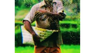 Farmers day whatsapp status tamil 🤝🏻 Farmers