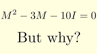 Intuition Behind The Cayley Hamilton Theorem