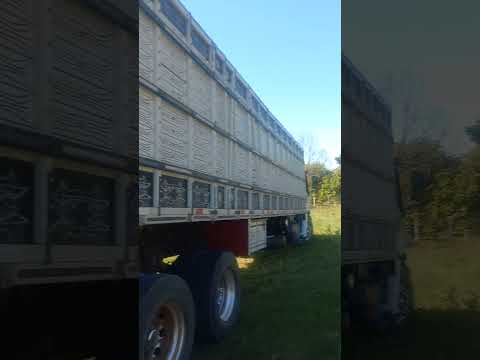 Brejoes Bahia Brasil #automobile #sonhoslucidos #caminhoneiro #reggae #haveitoldyoulatelythatiloveyo