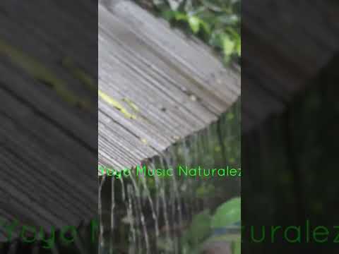 Sonido De Lluvia En El Campo 💚💙