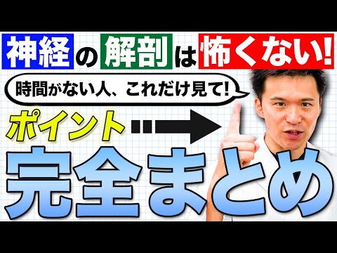 医学科 【神経解剖学】これだけでOK！医学生の誰もが苦手な脳神経と眼球運動障害を完全マスター！トロサハント症候群とMLF症候群について分かりやすく解説します！