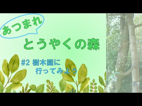 生命医科学科 あつまれとうやくの森#2