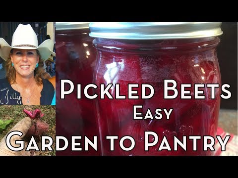 How to Pickle Beets Easy – From Garden to Pantry