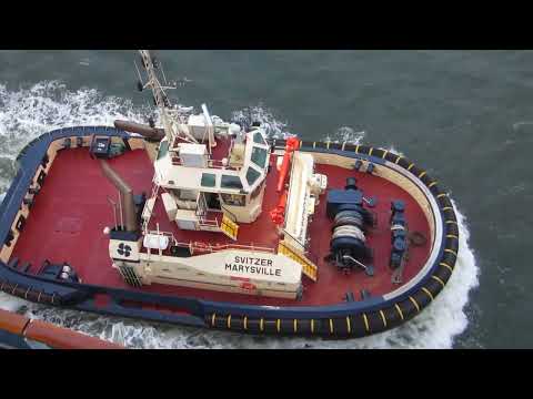 Thumbnail for Sydney - Melbourne - Kangaroo Island | Coral Princess Cruise