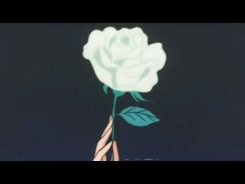 Tetéo - Ao som da Maré