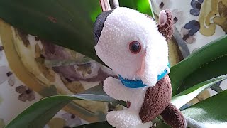 You Don&#39;t NEED The Narcissist (Happy Crappy Hour #12)