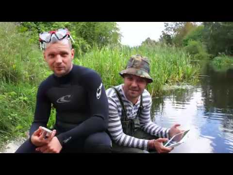 Gudrs vēl gudrāks Video