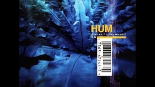 Hum - Downward Is Heavenward (Full Album)