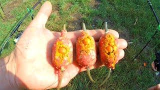Кормушки для ловли карпа