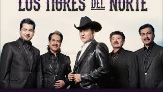 Los Tigres Del Norte - Hoy No Es Mi Dia on FM Station from a 1948 Montgomery Wards Console Radio.