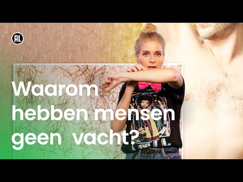 Waarom hebben mensen geen vacht? | Waarom? Daarom!