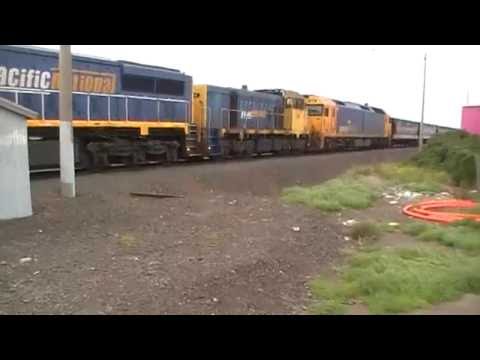 Pacific National empty Grainy