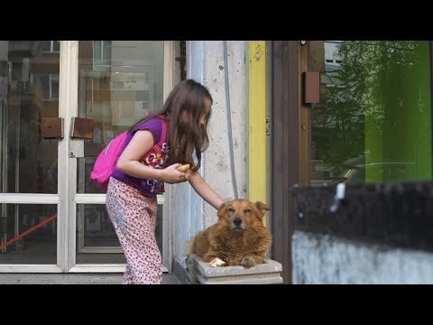 Најдобрата другарка, краток игран филм