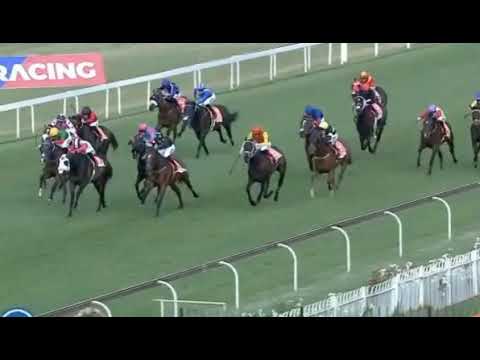 FLYING CARPET - 2021 World Sports Betting Summer Cup