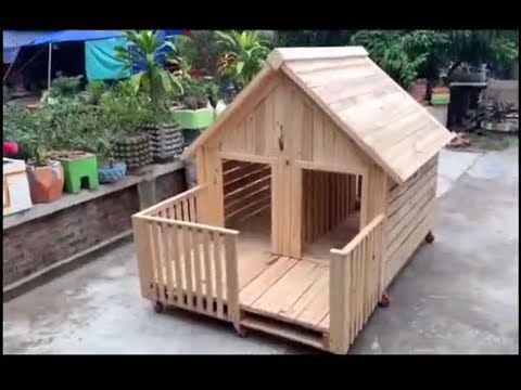 狗房屋