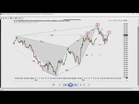 December 19th Trade What You See with Larry Pesavento on TFNN