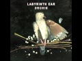 Labyrinth Ear - Urchin 