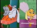 Brandy E Mr Whiskers Abertura PT