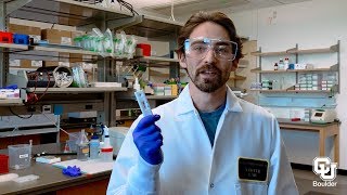 SickStick Rapid COVID-19 Test Development at CU Boulder  BioFrontiers Institute