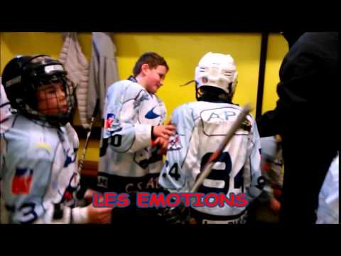 Hockey. AHCA-Angers. Хоккей. Эмоции.