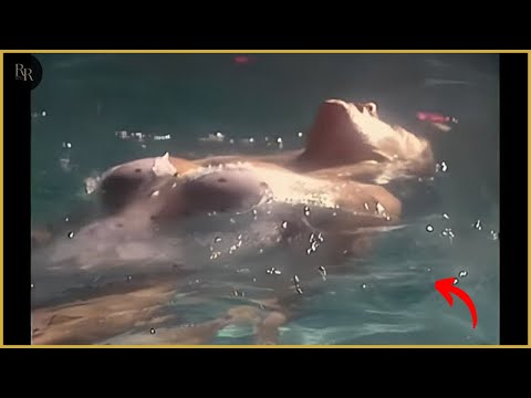 🌟 When Legends Let Their Guard Down: Rare Photos from the 40s–80s | Retro Reflections