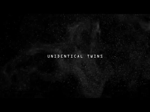 John Ellis - Unidentical Twin (Official Video) [Gondwana Records]