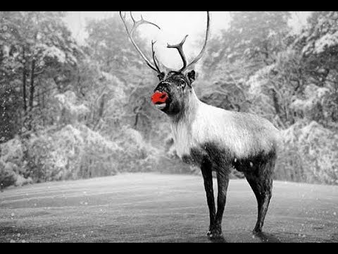 Tonny Eyk Quartet - Rudolph, the red-nosed reindeer ( 1974 )