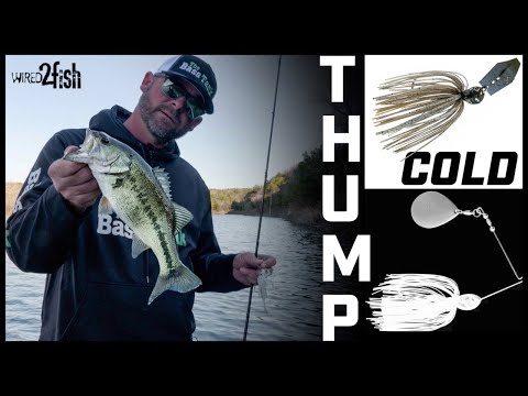 "Lateral Line Thumping" Winter Bass | ChatterBaits, Spinnerbaits & More