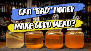 We Made Mead With FAKE Honey... Here's What Happened
