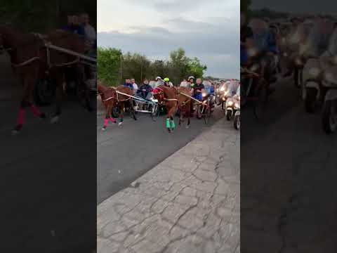 Corsa clandestina cavalli Paternò