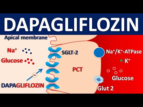Dapagliflozin Tablet Forxiga, 5mg,10 mg, Packaging Size: 10 Tabs