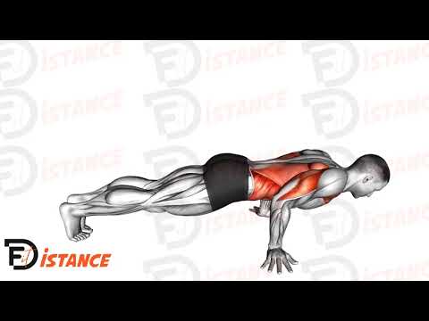 Pompes Pseudo (Pseudo Push-ups) - Exercice Pompes Pseudo (Pseudo Push-ups) en vidéo