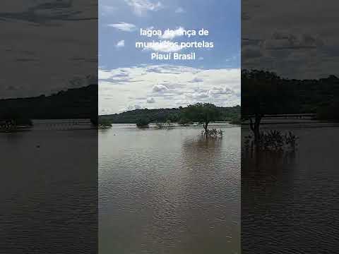 lagoa da onça # Murici dos portelas norte Du Piauí