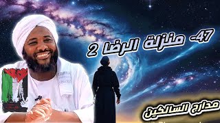 صورة محمد سيد حاج |  47- منزلة الرضا 2  | #مدارج_السالكين #محمد_سيد_حاج