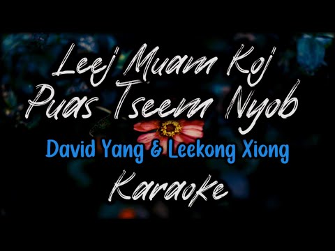 (Karaoke Version) Leej Muam Koj Puas Tseem Nyob - David Yang & Leekong Xiong