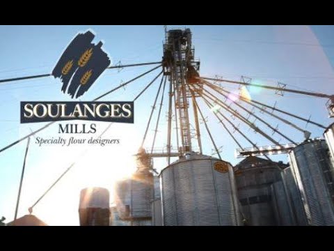 Baking with Heat Treated Flour | BAKERview | BAKERpedia