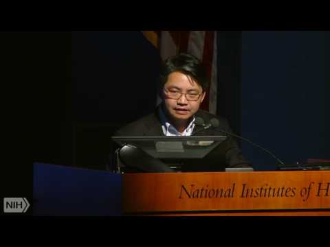 Genome regulation by long noncoding RNAs