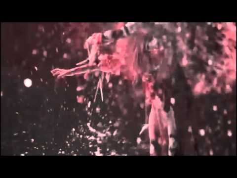 Fever Ray - When i Grow Up - Saverios drum n bass remix and bit of video clip edit