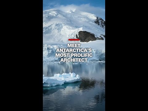 Meet Antarctica's most prolific architect