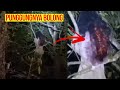 REVEALING THE AUTHENTICITY OF THE SUNDEL BOLONG IN THE HAUNTED TREE THAT WENT VIRAL