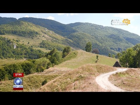 PE UN PICIOR DE PLAI ...   SĂLCIUA!