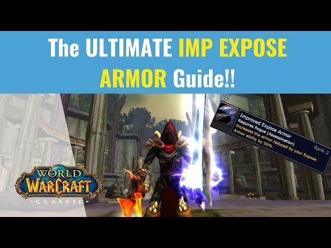 Why You NEED an Imp Expose Armor Rogue in Your Raids!!!