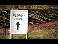 The Curious Art Of Hedgelaying In The UK