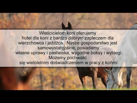 ujeżdżalnia dla koni szkółka jeździecka Łapinko Kartuskie akowcówka Gospodarstwo Agroturystyczne