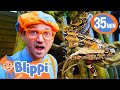 Blippi Feeds And Plays With The Animals At The Zoo BEST OF BLIPPI TOYS Animal Videos For Kids