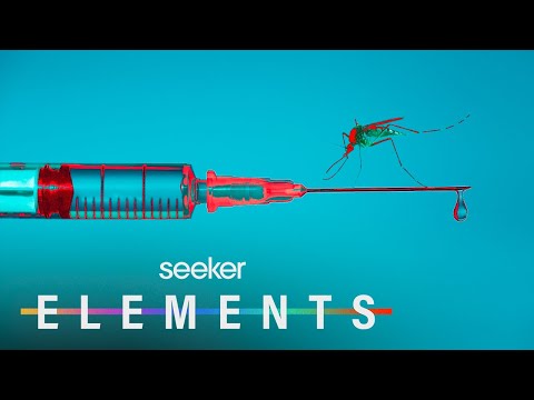 我們離瘧疾疫苗有多遠? (How Close Are We to a Malaria Vaccine?)