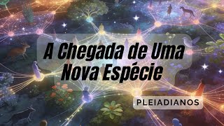 Pleiadianos / Nova Realidade em Gaia