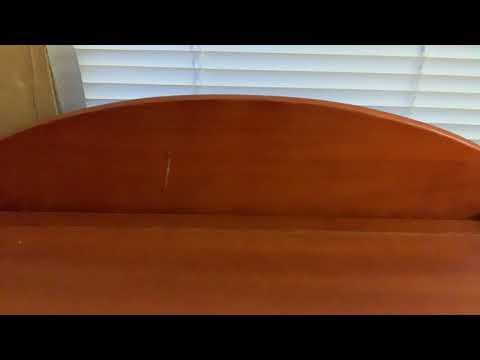 Savage Dinosaur Battles Round 3, Battle 4:Triceratops vs Pentaceratops