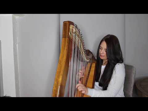 Torias 50th - Laura Wilkie (Harp Cover)