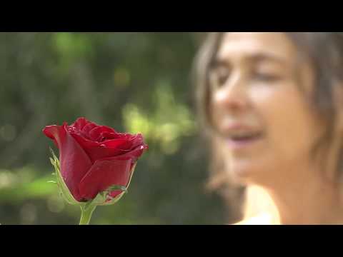 download lagu mp3 mp4 Osho Mystic Rose, download lagu Osho Mystic Rose gratis, unduh video klip Osho Mystic Rose